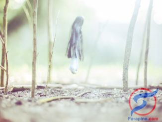 مخلوقات اسطورية